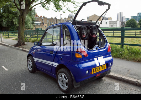 Hunde hecheln in Kofferraum eines Elektro-Auto Stockfoto