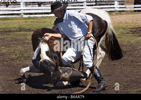 Rodeo Pferd Uruguay Fiesta Gaucho Cowboy cowboy Stockfoto