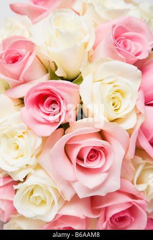 Bouquet von rosa und weiße Rosen, close-up Stockfoto