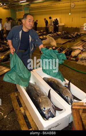 Shijo Tsukiji Fischmarkt Tokyo Japan Meeresfrüchte Stockfoto