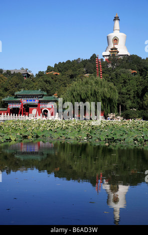 China Peking Beihai-Park Weiße Dagoba Stockfoto