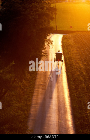 Luftaufnahme der Amischen Pferd gezeichneten Buggy auf einer Landstraße bei Sonnenuntergang, Lancaster County, Pennsylvania, USA Stockfoto