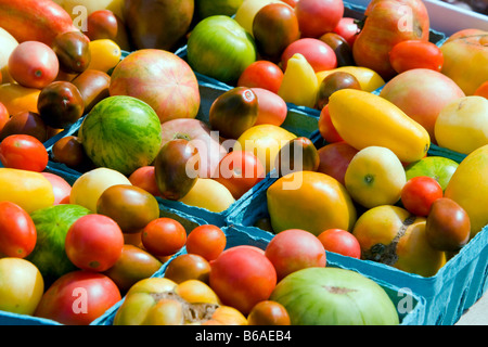 Boxen von organischen Urtomaten zum Verkauf. Stockfoto