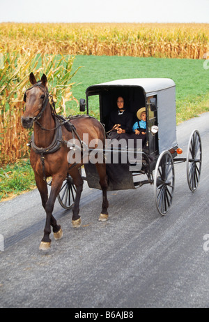Amische Pferd gezeichneten Buggy auf der Landstraße, Lancaster County, Pennsylvania, USA Stockfoto