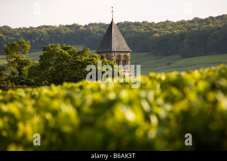 Turm der Kirche hinter Bäumen in den Weinbergen in der Nähe von Epernay, Champagne, Frankreich Stockfoto