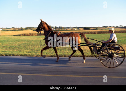 Amische Pferd gezeichneten Buggy auf der Landstraße, Lancaster County, Pennsylvania, USA Stockfoto