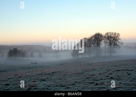 Am frühen Morgennebel rollt über die Wiltshire Landschaft, an einem kalten frostigen Morgen in England Dezember 2008. Stockfoto