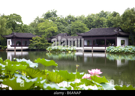 Lotus, gerührt von Brise in Quyuan Garten in West Lake Lotus gerührt von Breeze im Quyuan Garten Stockfoto