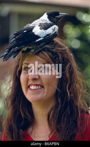 Frau mit Australian magpie Stockfoto