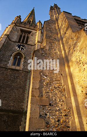 Pfarrkirche St. Maria der Jungfrau, Saffron Walden, England Stockfoto