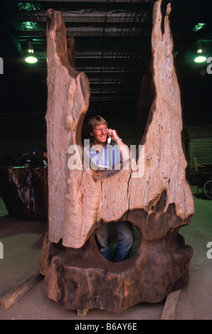 Old Red Gum Stamm, Koondrook Stockfoto