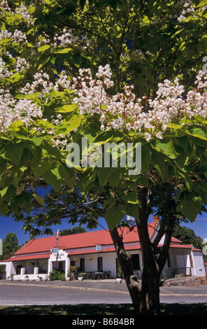 Landhotel, Tintaldra, Australien Stockfoto