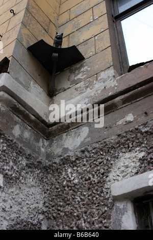 Elissey Katze Skulptur an der Fassade des Elisseeff Emporium, St. Petersburg Stockfoto