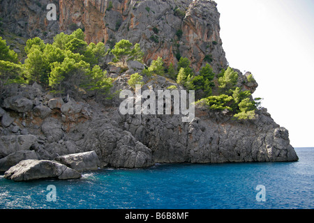 Mallorca Insel Meer Meer Urlaub Landschaft Baum grün schöne schöne, entspannende relax Mediteran Mitte Meer Middlesea Spanien Spanien Stockfoto