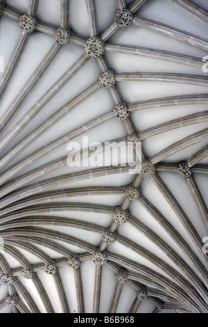 Fan-Gewölbe an der Decke der Kapitelsaal in der Kathedrale von Wells, Somerset, England Stockfoto