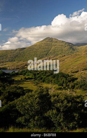 Connemara Mweelrea Berg in der Nähe von Lettergesh County Galway westlich von Irland irische Landschaft Szene Stockfoto