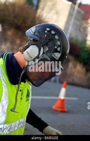 Baumpfleger schwer Schutzhelm mit Gehörschutz und Netz-Visier mit gelbe Warnweste tragen Stockfoto