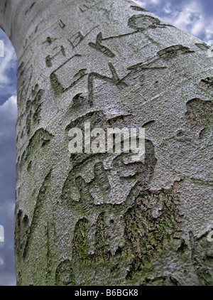 Text auf Baumstamm geschnitzt Stockfoto