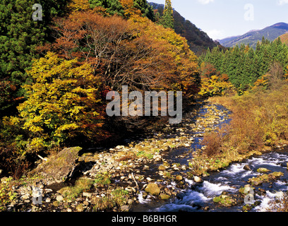 Herbst-Landschaft am Shirakami Sanchi Region der Präfektur Akita, Japan Stockfoto
