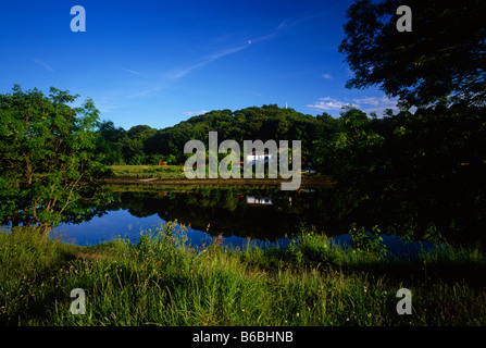 Den Fluss Tyne in der Nähe von morgen, Northumberland Stockfoto