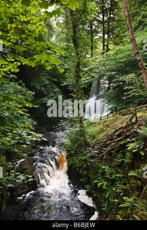 Ess Na Crub Wasserfall auf der Inver Fluss Glenariff Forest Park, Glens of Antrim, County Antrim, Nordirland Stockfoto