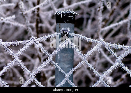 Nahaufnahme von gefrorenen Stacheldrahtzaun Stockfoto