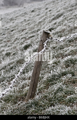 Gefrorene Stacheldrahtzaun im Feld Stockfoto