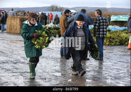 Die jährlichen Winter Mistel und Holly Auktionen in der Nähe von Tenbury Wells an der Grenze von Shropshire, Worcestershire und Herefordshire Stockfoto