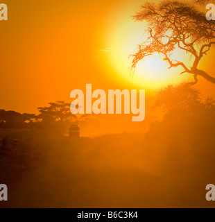 Safari-Jeep fahren durch Savanne in den Sonnenuntergang Stockfoto