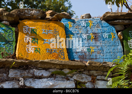 Gebet-Steinen auf eine Mani-Mauer in der Nähe von Rinchenpong, Sikkim, Indien Stockfoto