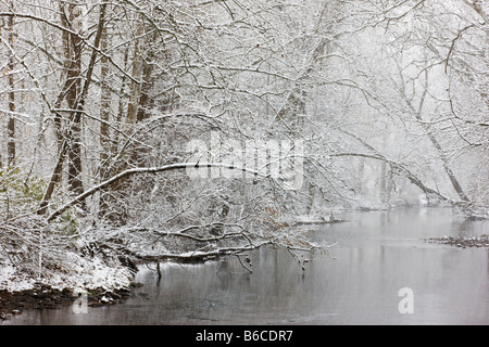 Schneebedeckte Bäume Linie Brandywine Creek, Chester County, Pennsylvania, USA Stockfoto