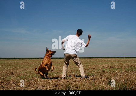 Rückansicht des Menschen spielen mit Hund im Feld Stockfoto