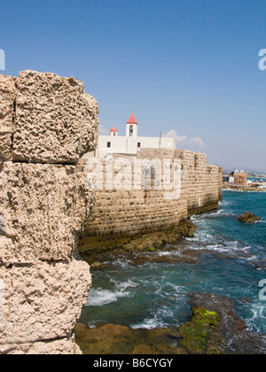 CRUSADER UFERMAUER ALTSTADT ACCO ISRAEL Stockfoto