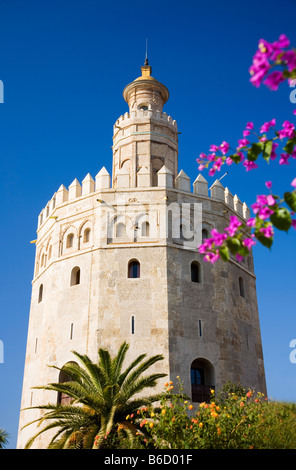 Spanien, Sevilla, Torre Del Oro Stockfoto