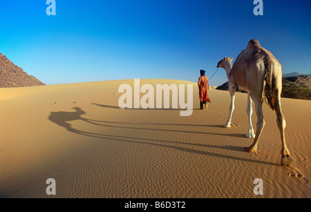 Marokko. Erfoud. Sahara Wüste Erg Chebbie Sanddünen. Beduinen und Kamel. Stockfoto