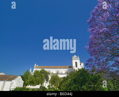 Die Kirche Igreja De Santa Maria Castelo & Jacaranda-Baum Blume, Tavira, Algarve, Portugal Stockfoto