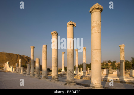 PALLADIUS STREET BYZANTINISCHEN KOLONNADE RUINEN TEL BEIT SHEAN NATIONALPARK ISRAEL Stockfoto