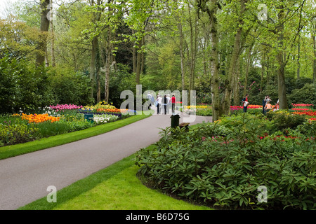 Blick auf den Garten des Colorfull Keukenhof Tulpe Blume Parks in den Niederlanden Stockfoto