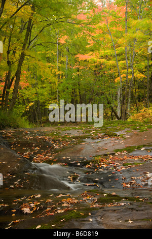 MICHIGAN - Herbstfarben entlang Pinkerton Creek in Porcupine Mountains Wildnis State Park. Stockfoto