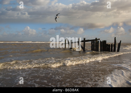 Küstenschutz Happisburgh Norfolk UK Winter Stockfoto