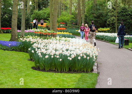 Blick auf den Garten des Colorfull Keukenhof Tulpe Blume Parks in den Niederlanden Stockfoto