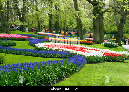 Blick auf den Garten des Colorfull Keukenhof Tulpe Blume Parks in den Niederlanden Stockfoto