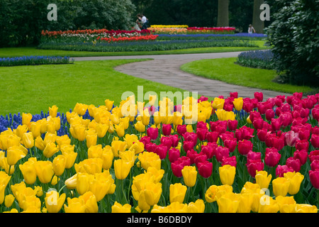 Blick auf den Garten des Colorfull Keukenhof Tulpe Blume Parks in den Niederlanden Stockfoto