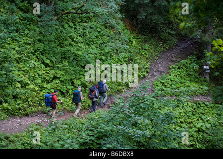 Gruppe von Wanderern auf schmalen Pfad in der Nähe von Königssee Berchtesgadener Alpen Deutschland August 2008 Stockfoto