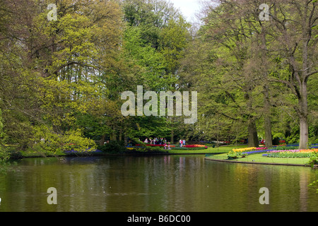 Blick auf den Garten des Colorfull Keukenhof Tulpe Blume Parks in den Niederlanden Stockfoto