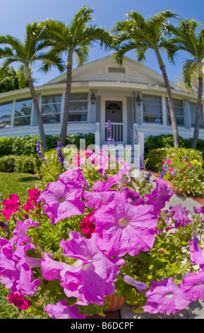 Blumen und Haus in Boca Grande auf Gasparilla Island im Südwesten von Florida Stockfoto