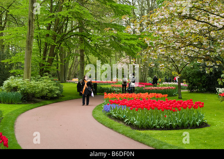 Blick auf den Garten des Colorfull Keukenhof Tulpe Blume Parks in den Niederlanden Stockfoto