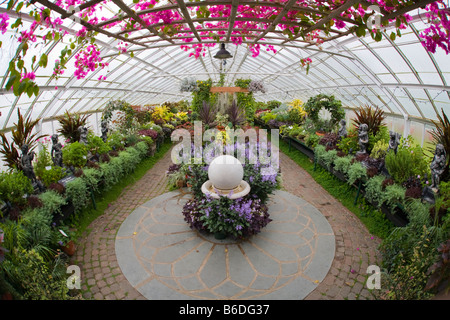 Buffalo und Erie County Botanical Gardens in Lackawanna New York Stockfoto