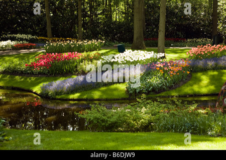 Blick auf den Garten des Colorfull Keukenhof Tulpe Blume Parks in den Niederlanden Stockfoto