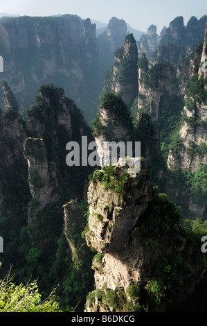 Felsformationen in Zhangjiajie National Forest Park, Wulingyuan Scenic Area, Provinz Hunan, China Stockfoto